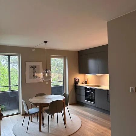 Ny Og Flott Leilighet I Apartment Trondheim