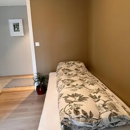 Apartment Ny Og Flott Leilighet I Trondheim
